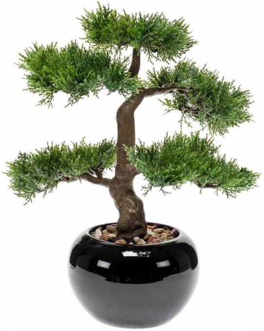 Warentuin Kunstplant Bonsai Boom In Zwarte Pot 16 Cm