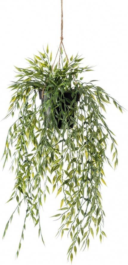 Botanic Haus Kunst potplanten Bamboe plantenhanger