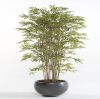 Wants&Needs Plants Kunstplant Bamboo Japanese Multi 150cm online kopen