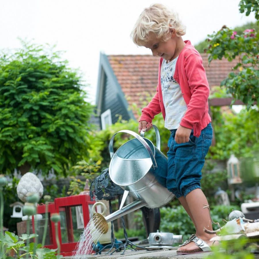 Hermie Gieter 9 Liter Verzinkt Staal Met Broeskop/sproeikop Tuinonderhoud Tuin Bewateren/bewatering