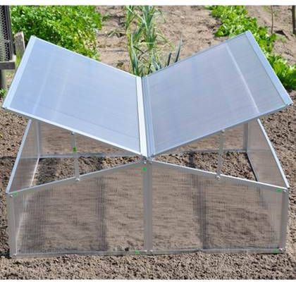 Royal Well | Broeikas Silver Thyme | Polycarbonaat