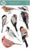 KEK Amsterdam Muursticker Set Vogels Set van 6 online kopen