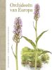 Orchideeën van Europa Bo Mossberg en Henrik Pederson online kopen