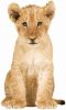 KEK Amsterdam muursticker leeuw (70x115 cm) online kopen